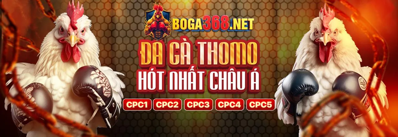 Các bước đăng ký tài khoản Choang link vào nhanh chóng